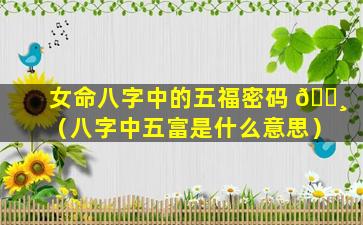 女命八字中的五福密码 🕸 （八字中五富是什么意思）